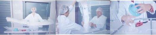 IBC IBC inliner system for plastic IBC